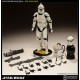 Star Wars Deluxe Action Figure 1/6 Shiny Clone Trooper 32 cm